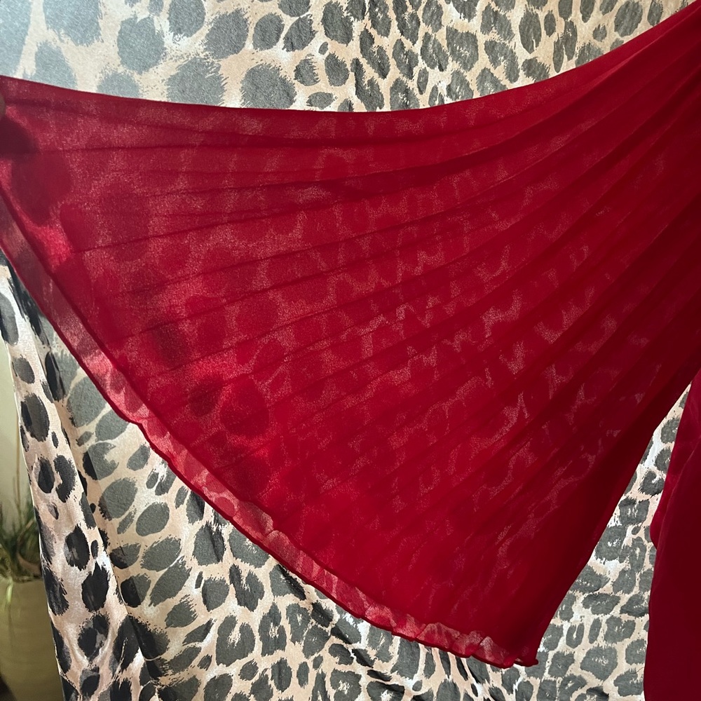 Red blouse - Picture 3 of 3